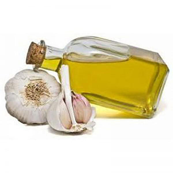 Garlic Oil at Best Price in Bulk bio original bli online ne iBuy al